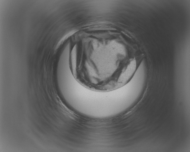 X0000076031402200610201815