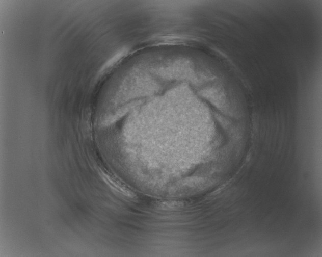 X0000076031403200610201815