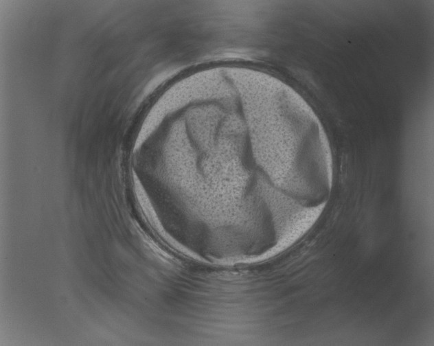 X0000076031404200610201815