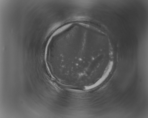 X0000076031405200610201815