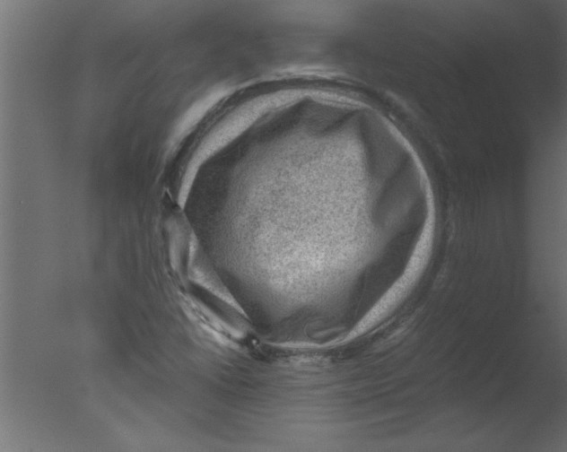 X0000076031406200610201815