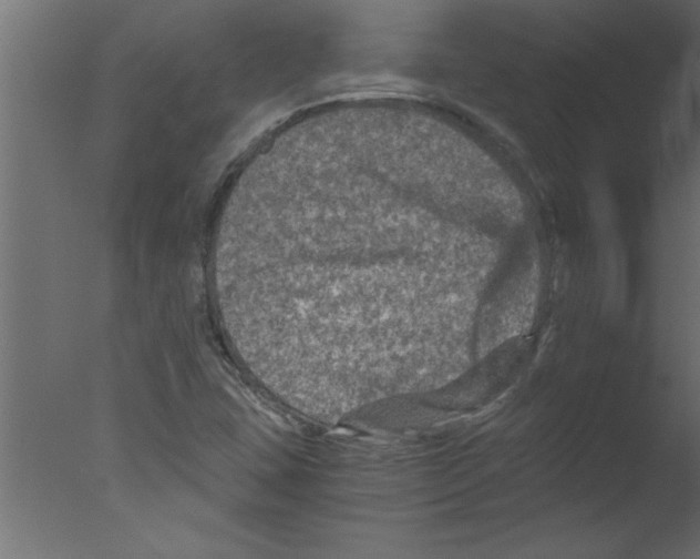 X0000076031407200610201815