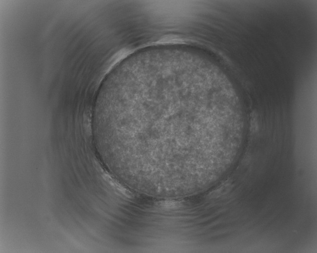 X0000076031409200610201815