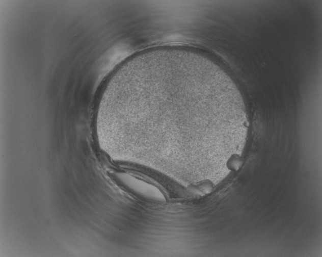 X0000076031410200610201815