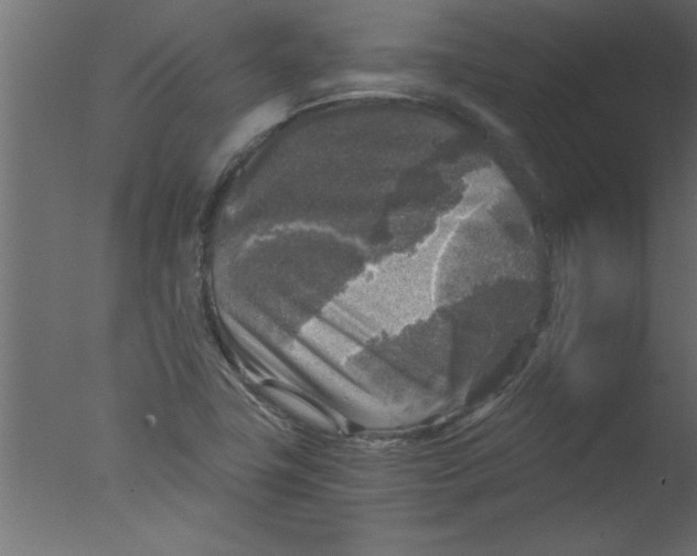 X0000076031411200610201815