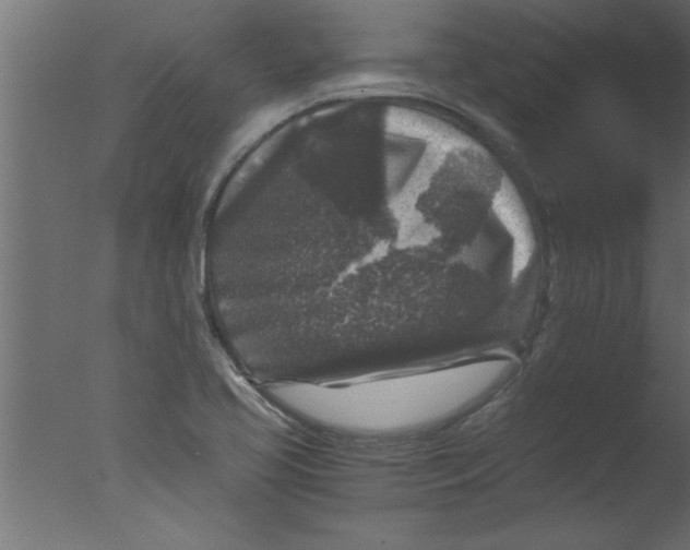 X0000076031413200610201815