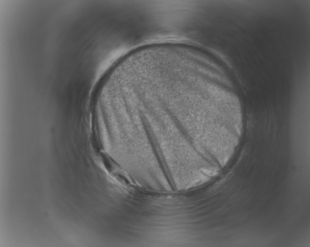 X0000076031414200610201815