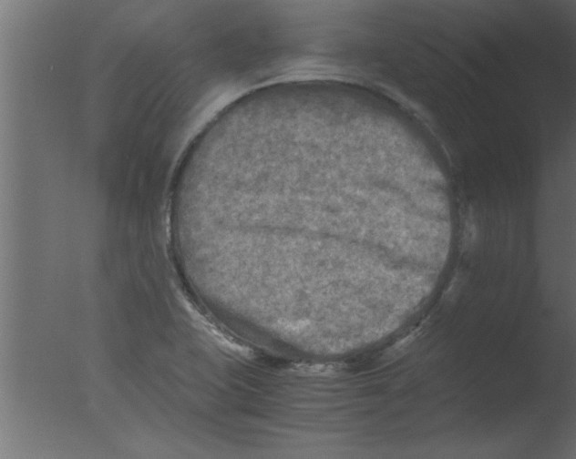 X0000076031415200610201815