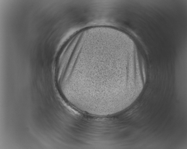 X0000076031416200610201815