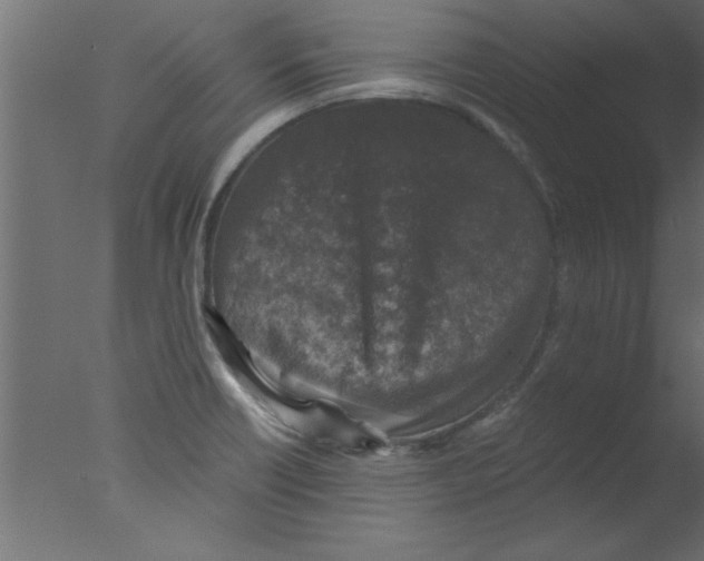 X0000076031418200610201815