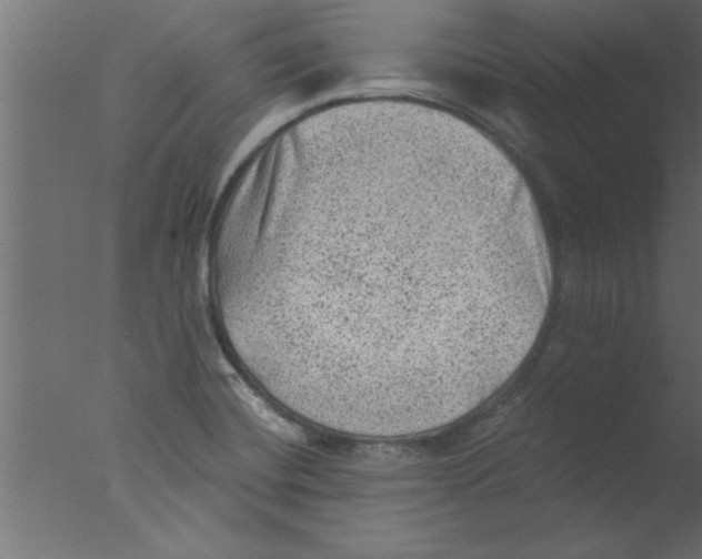 X0000076031420200610201815