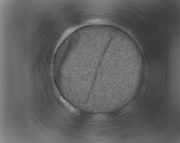 X0000076031421200610201815