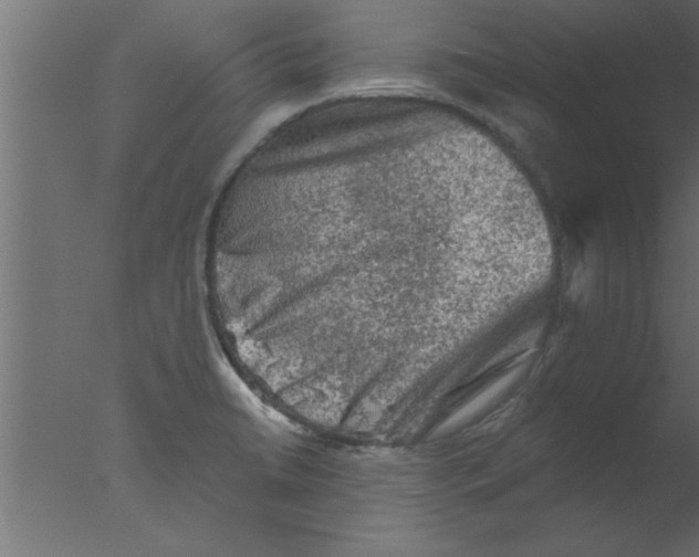 X0000076031422200610201815