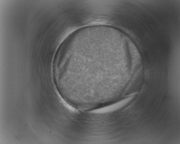 X0000076031423200610201815