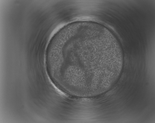 X0000076031424200610201815