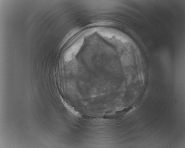 X0000076031425200610201815