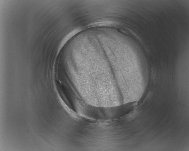 X0000076031426200610201815