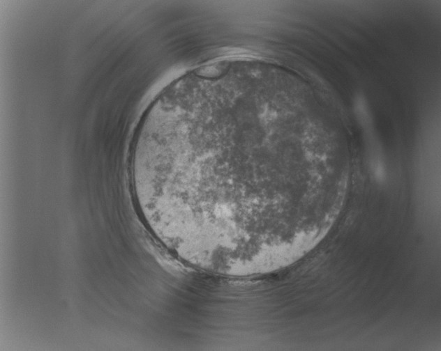 X0000076031427200610201815