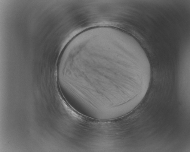 X0000076031428200610201815