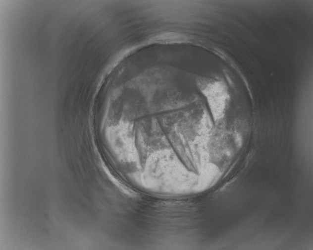 X0000076031429200610201815