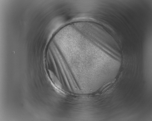 X0000076031430200610201815