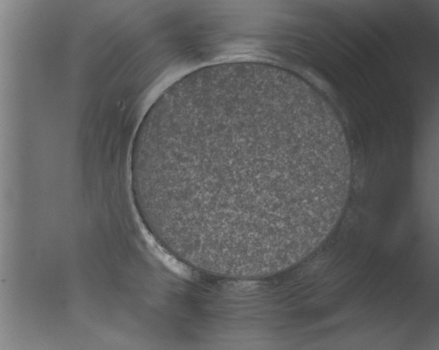 X0000076031431200610201815