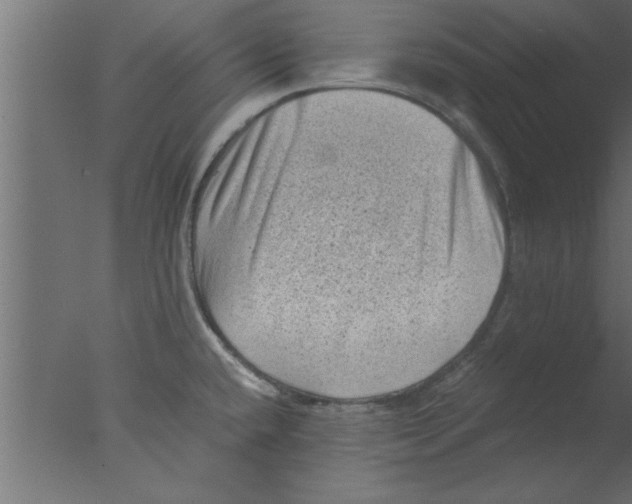 X0000076031432200610201815