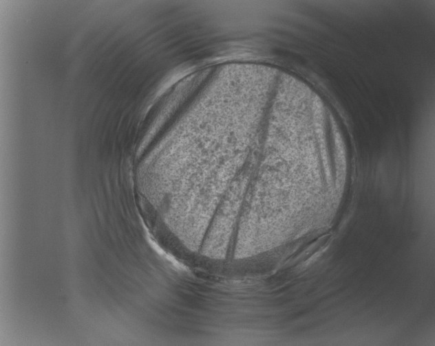 X0000076031433200610201815