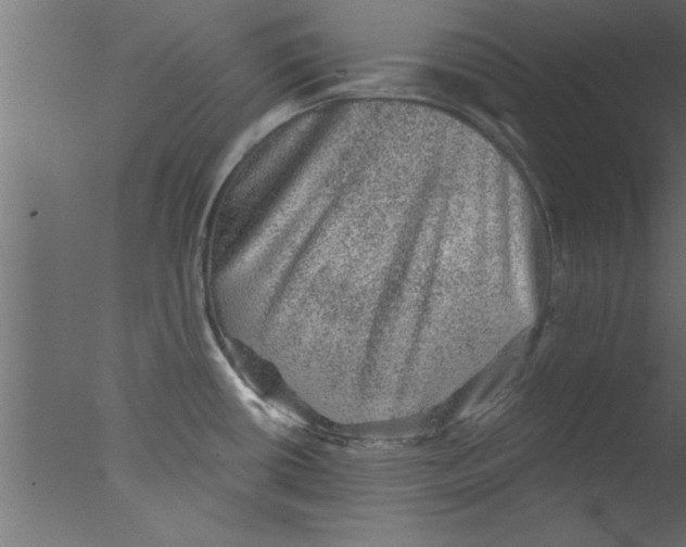 X0000076031434200610201815