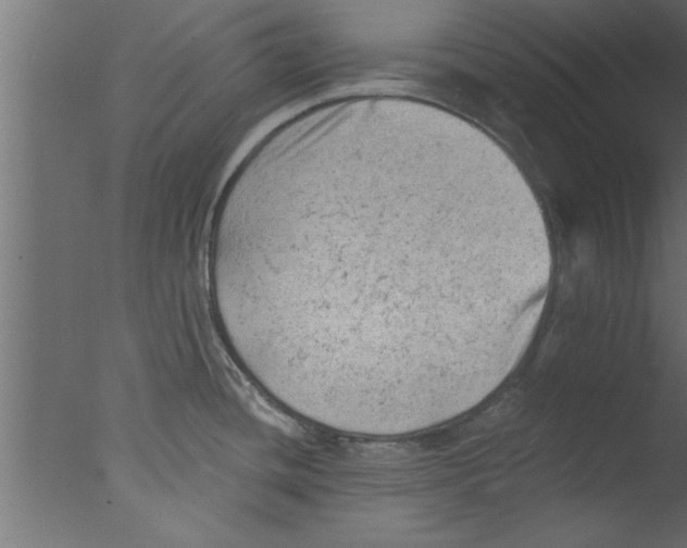 X0000076031436200610201815