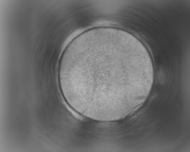 X0000076031437200610201815