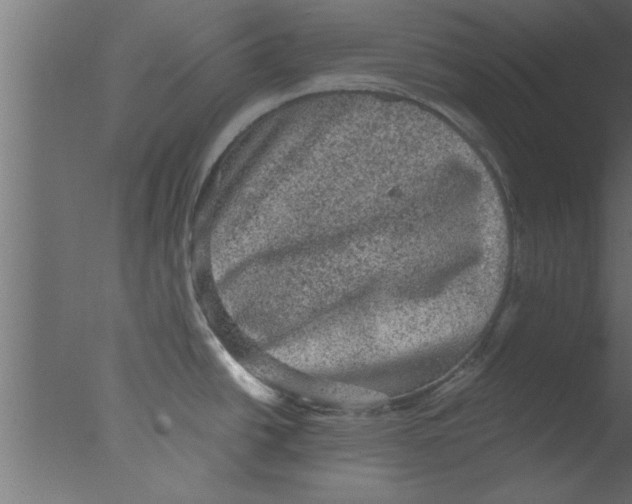 X0000076031438200610201815