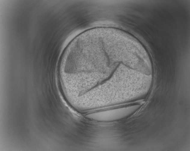 X0000076031440200610201815