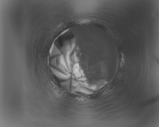 X0000076031441200610201815