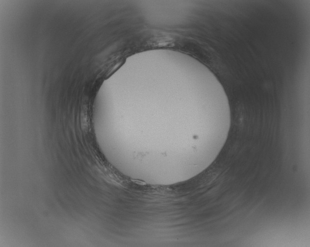 X0000076031442200610201815