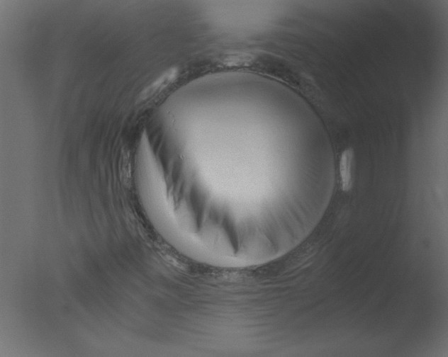 X0000076031443200610201815