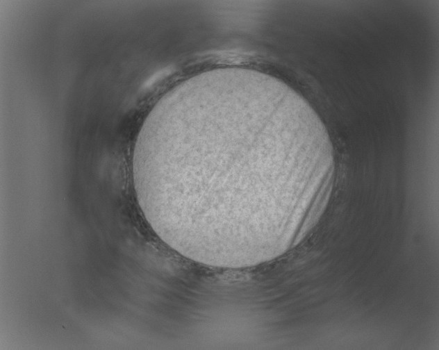 X0000076031446200610201815