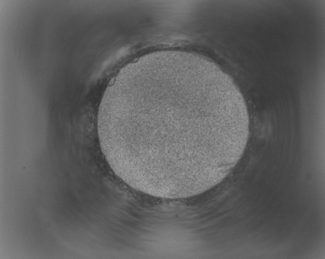 X0000076031447200610201815