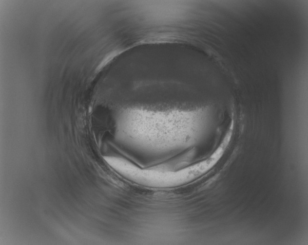 X0000076031449200610201815