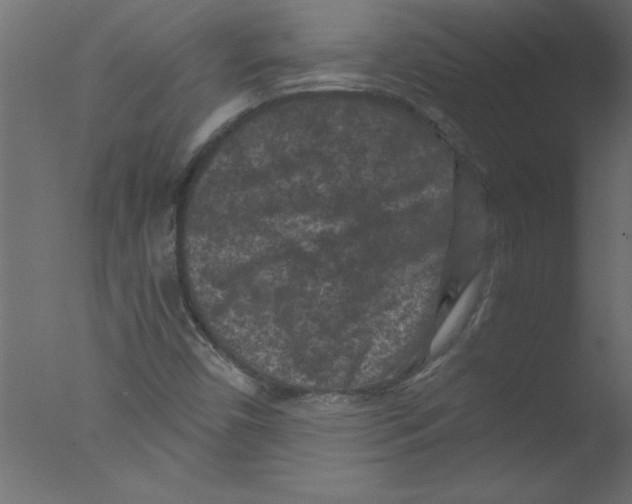 X0000076031450200610201815