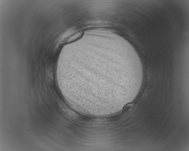 X0000076031451200610201814