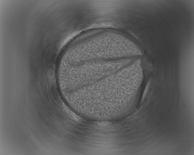 X0000076031452200610201814