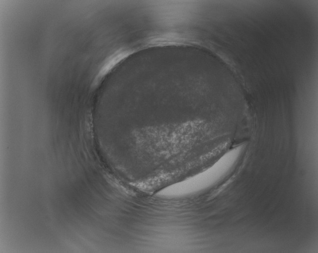 X0000076031453200610201814