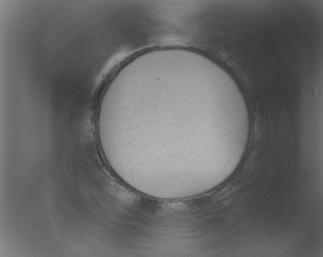 X0000076031454200610201814