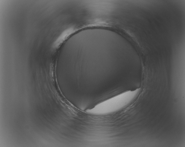 X0000076031455200610201814