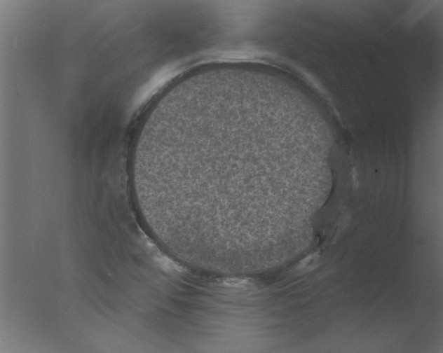 X0000076031456200610201814