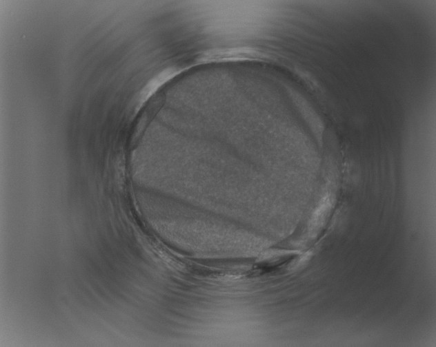 X0000076031457200610201814