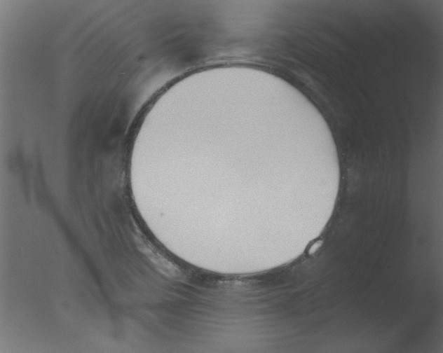 X0000076031458200610201814