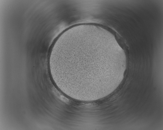 X0000076031460200610201814