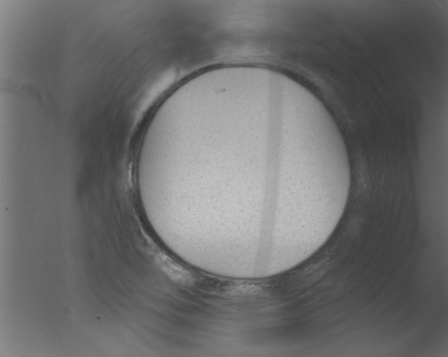 X0000076031462200610201814